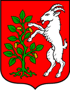 Obrovac - Coat of Arms