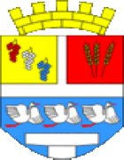 Vinkovci - Coat of Arms