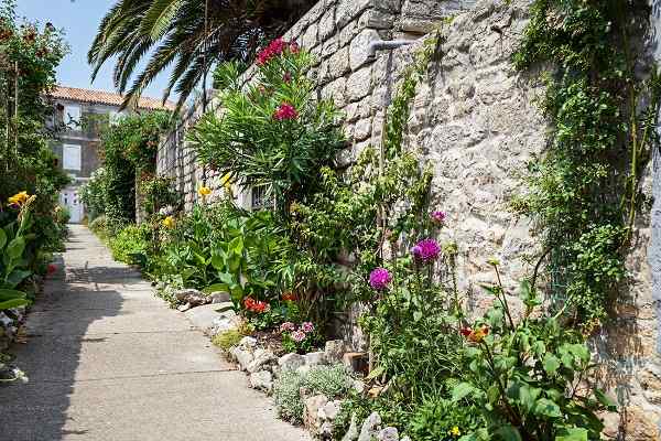 Private accomodation Cres - Osor