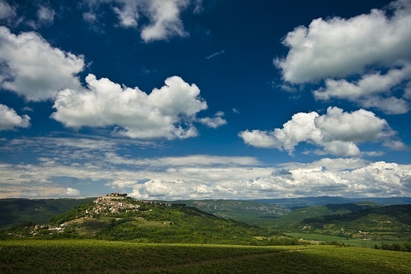 Motovun forest, Croatia