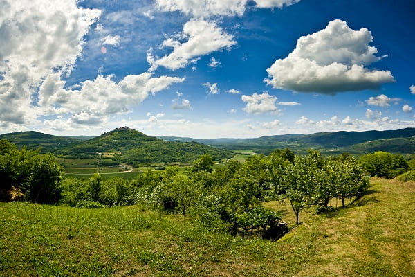 Motovun forest, Croatia