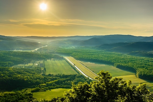 Motovun forest, Croatia