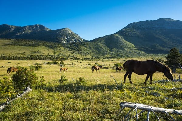 Nature Park Velebit, Croatia
