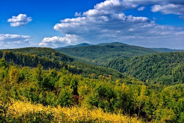 Nature Park Papuk, Croatia