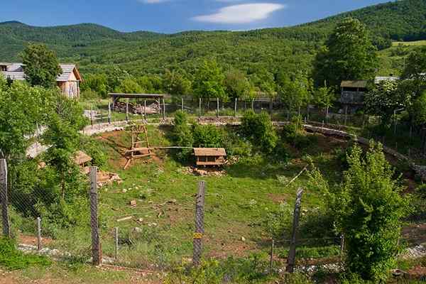 Refuge for bears Kuterevo, Croatia